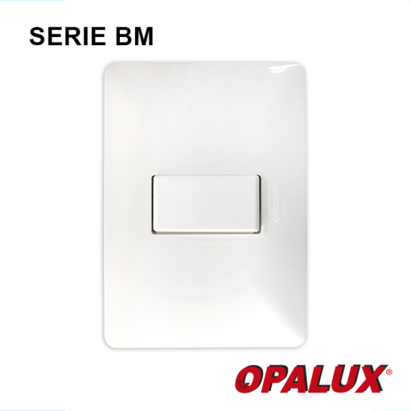 BM1101 INTERRUPTOR SIMPLE "OPALUX" 10A, 250V P/EMPOTRAR